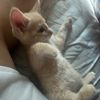 seebx26_