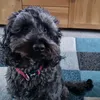 dianacoleman8