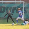 buchholzleif