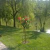 salosalo247
