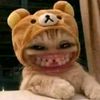user62177004