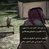 abuebrahm71