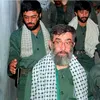 ali_hamed2008
