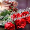 javed2232