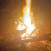 zokeogoti