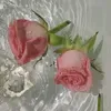 wala123_2