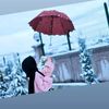 fentiv_