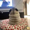gustavomartinez0242