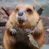 beaver_top