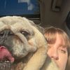 thickbaddiebellepug