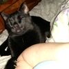 magicalcat15