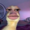 blxcc3instein
