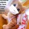 fb_cm2