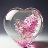 g_caroll