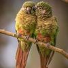 shaima0301