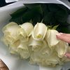 limonniysok_2