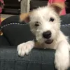 jayla_marie_dumaog564