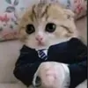 heheeeeeboi