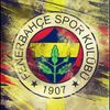 tamerr1907