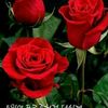 user9bdxfyym91