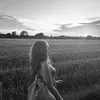 phoebe.sh