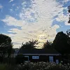 th0r053