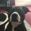 garryc1230
