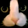 sipopnupesc