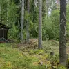 vilhojuha0