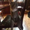 chunchunmaru91