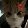 _sxramm