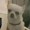 vinimm00