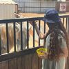 shira_024