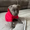 trisha_6555