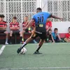 jv_pitbull09
