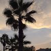 rousse2619