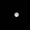 fahd_556