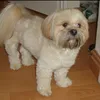 millle2