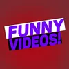 fvfunnyvideos