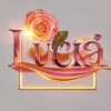 user9843765514444juju