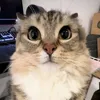 itz_.nanaaa