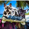 exoticbulldogkennel