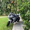 themighty300sparrow