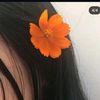 prettylioness74
