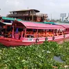 binhminhquetui_65