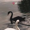 userdied_141