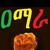 barkot168