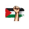 haseeb_oy