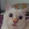 babicantik0