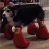 callmeboxbox23
